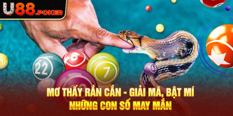 Mơ Thấy Rắn Cắn - Giải Mã, Bật Mí Những Con Số May Mắn