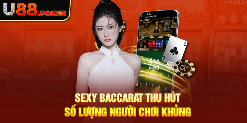 Sexy Baccarat thu hút số lượng người chơi khủng