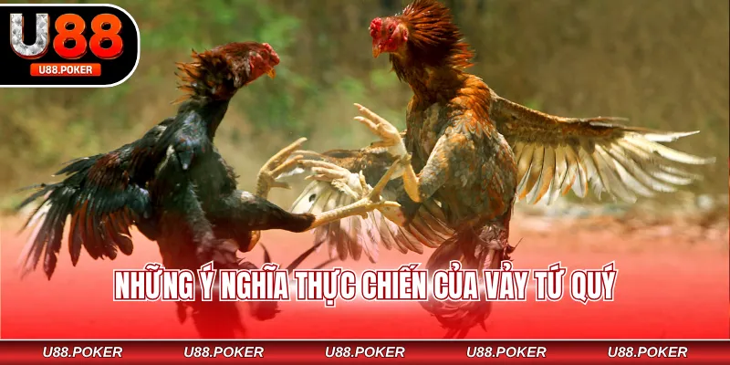 Những ý nghĩa thực chiến của vảy tứ quý