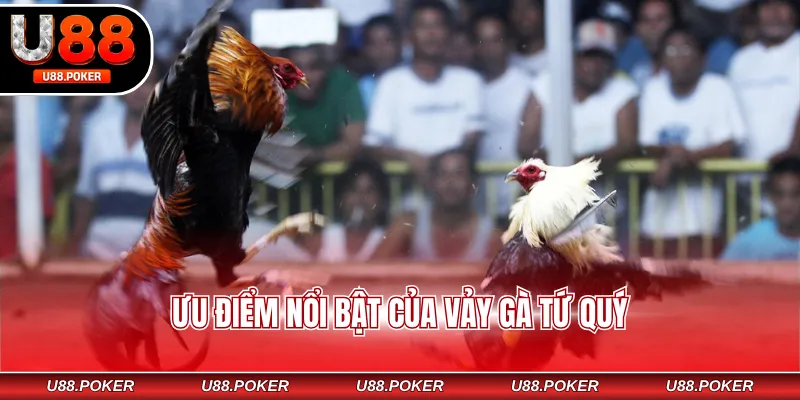 Ưu điểm nổi bật của vảy gà tứ quý